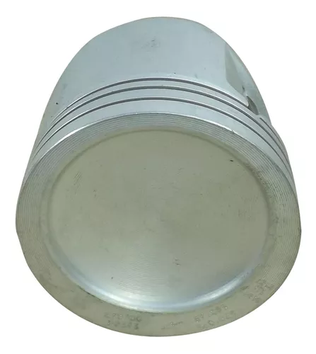 P 2020 - STD (1)