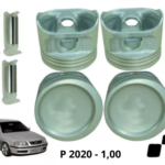 P 2020 – 1,00 (1)