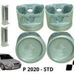 P 2020 – STD (1)