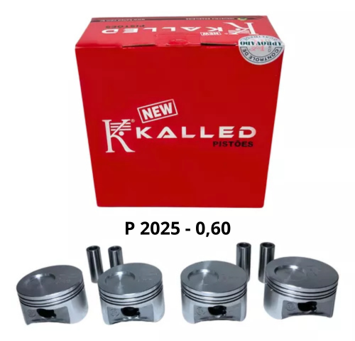 P 2025 - 0,40 (1)