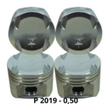 P2019 -0,50
