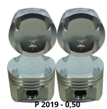 P2019 -0,50
